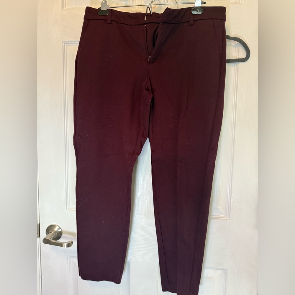 Purple dress pants